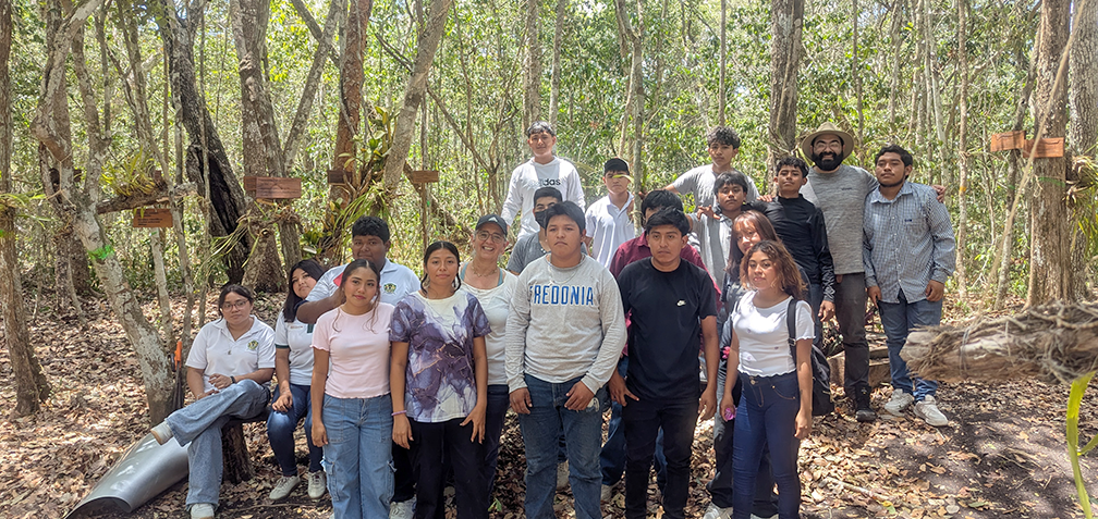 group Yucatan forest