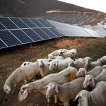 Professor Jesse Rodenbiker publishes op-ed on China's green ambitions in South China Morning Post, 