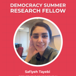 Graduate Student Safiyeh Tayebi selected for the inaugural cohort of Democracy Summer Research Fellows.